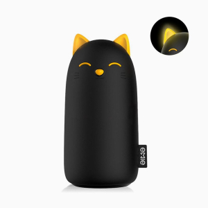 Portable Battery